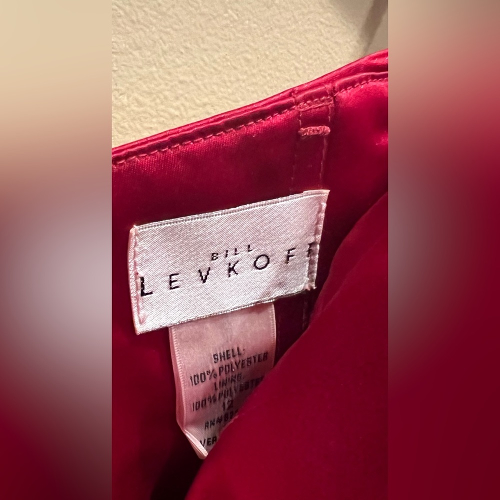 Levkoff Dress - Picture 3 of 3